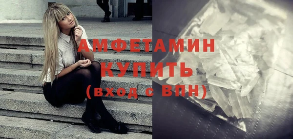гашик Пестово