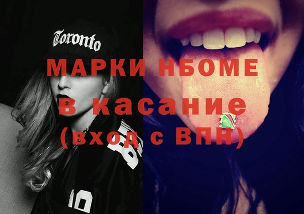 гашик Пестово